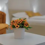 Rezidence Privat Wellness Hotel Znojmo