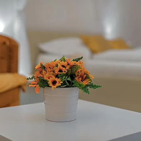 Rezidence Privat Wellness Szálloda Znojmo