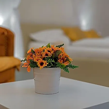 Rezidence Privat Wellness